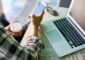 New Ways To Fight Brand Impersonation and Fraud in the U.S. Messaging Ecosystem