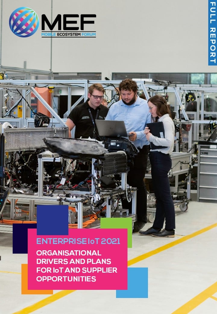 Enterprise IoT 2021: Organisational drivers and plans and IoT ecosystem opportunities