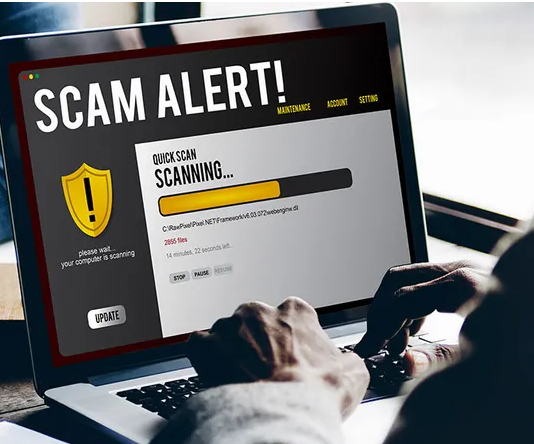 Which?: Toward a future without fraud