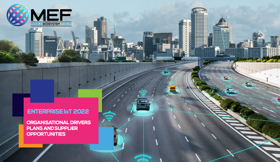 Enterprise IoT 2022: Organisational Drivers, Plans and Supplier Opportunities