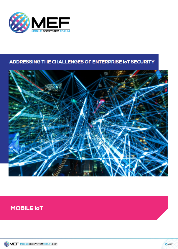 Addressing the Challenges of Enterprise IoT Security